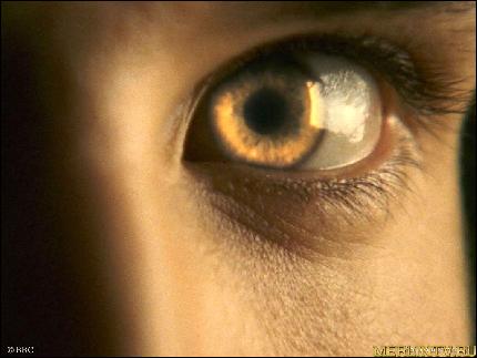 wallpapers_merlintv.ru_010 (1024x768, 112 kБ...)